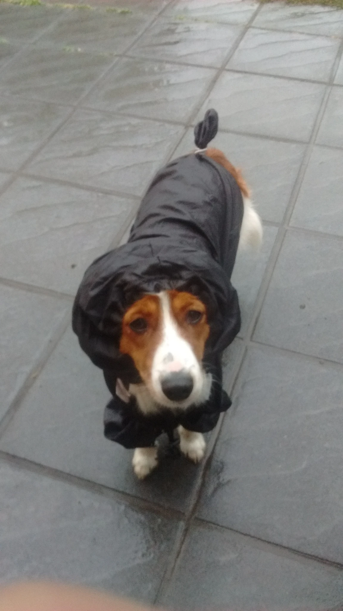 Het is zomer